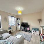 Cosy family living room with toys and TV.