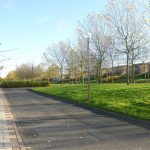 Tree-lined pathway with green grass and lampposts