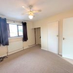 Spacious bedroom with carpet, window, and ceiling fan.