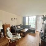 Modern living room with sofa and TV.