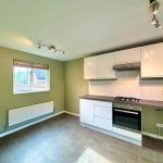 Modern kitchen with green walls and appliances.