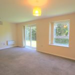 Spacious living room with garden view