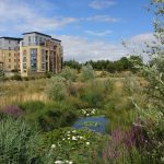 Modern buildings overlooking landscaped garden with pond.