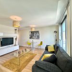 Modern living room with grey sofa and TV.