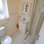 Small bathroom with shower, toilet, and sink.