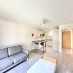 Modern open-plan living room and kitchen