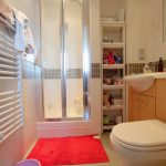 Modern bathroom with shower, red rug, storage shelves.