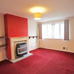 Cosy living room with red carpet and fireplace