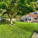 Spacious garden with a tree and conservatory.