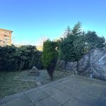 Backyard with wooden fence and bushes on sunny day.