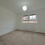 Empty room with beige carpet and window