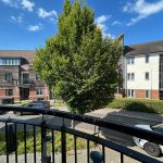 Residential street view with tree and parked cars.