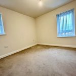 Empty room with beige carpet and two windows.