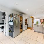 Modern kitchen with appliances and plants