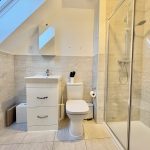 Modern bathroom with shower and skylight