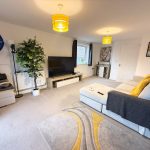 Modern living room with sofa and TV.