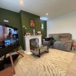 Cosy living room with TV and green accents.